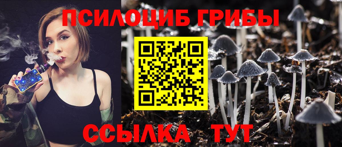 Галлюциногенные грибы мухоморы Керчь