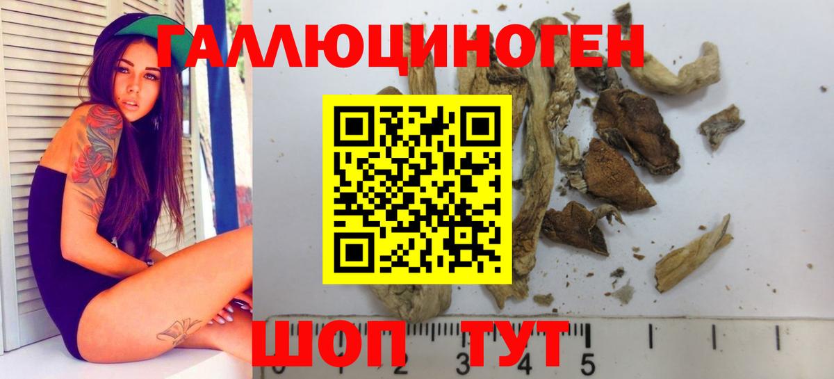 продажа наркотиков  Вход с VPN  Керчь  Псилоцибиновые грибы Psilocybe 